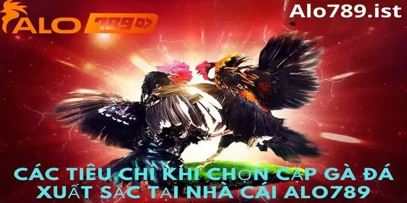 Tiêu chí để chọn 1 cặp gà đá tốt